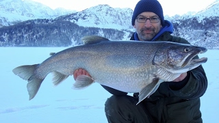 Eisfischen Silsersee  Monster Namaycush  Lake Trout Ice Fishing [upl. by Voletta]