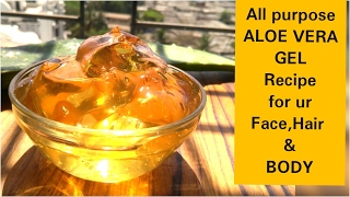 अपने घर पर ही ALOE VERA GEL जेल तैयार कीजिए Aloe Vera All Purpose GelAloe Vera Gel Dr Shalini [upl. by Shanta]