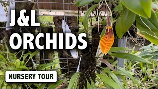 JampL Orchids Nursery Tour  Dracula Masdevallia Pleurothallis amp Miniature Orchids in Bloom [upl. by Ydderf113]