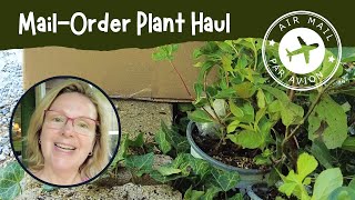 Unboxing a Plant Haul from GreatGardenPlantscom  Garden Vlog July 2024 Week 3 [upl. by Lanette]