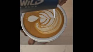 sidamo duwancho 2024toh coffee barista latteart [upl. by Najtsirk280]