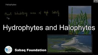 Hydrophytes and Halophytes Biology Lecture  Sabaqpk [upl. by Greenburg]