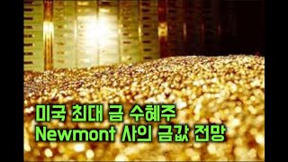 세계 최대 광산회사 Newmont CEO의 금값전망 [upl. by Ydnew]