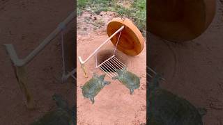 Survival SkillsSimple But Very Useful with turtle deep hole trap survival shorts outdoor [upl. by Dacia897]