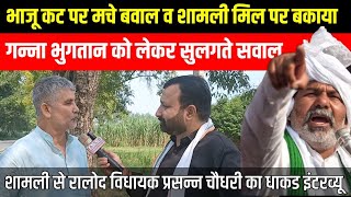 Bhajju Cut पर मचे बवाल व Shamli Sugar Mill Ganna Payment पर RLD MLA Parsanna Chaudhary का इंटरव्यू [upl. by Ximenes]