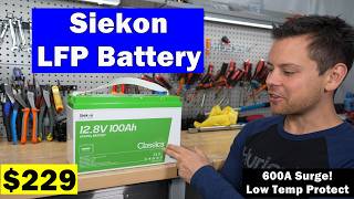 Lead is Dead 229 LFP Siekon 12V 100Ah w 150A BMS and Low Temp Charging [upl. by Vivianne]