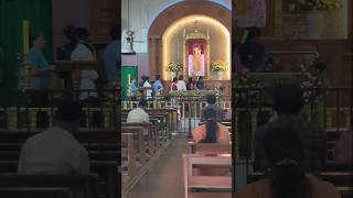 Besant Nagar Annai Velakanni church feast velankanni besantnagar shorts [upl. by Verner]