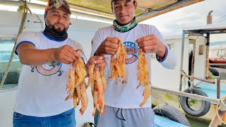 Así Se Hace La Pesca de Camarón Artesanal 12 Horas En El Mar [upl. by Einneg]