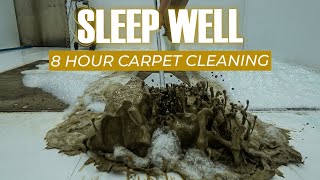 8 Hours Magic Carpet Cleaning Helps You Sleep Deeply  ASMR Sleep  Deep Sleep [upl. by Arba]