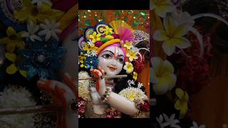 shorts jayradhekrishna radheradhe status radheshaym radhakrishn 🙏❤️❤️❤️❤️❤️🙏🙏🙏🙏🙏 [upl. by Herzog]