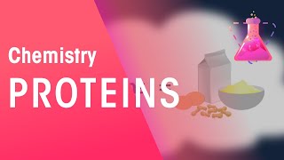 Proteins  Organic Chemistry  Chemistry  FuseSchool [upl. by Kolnick471]