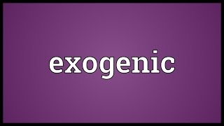 Exogenic Meaning [upl. by Nobile623]