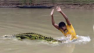 Crocodile Attack Hunter at Fishing Time  Fun Made Movie of Crocodile Attack [upl. by Schach405]