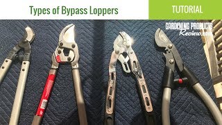 Types of Bypass Loppers Whats the Difference Between Ratcheting Geared amp Compound Loppers [upl. by Evin523]