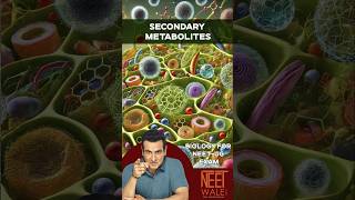 Secondary METABOLITES Functions  Biomolecules  class 11 Biology neet biology science ncert [upl. by Dorraj]