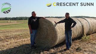 Experience with Crescent sunn hay in Missouri  USA [upl. by Yelsehc905]