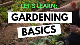 Gardening Basics What You Need To Know To Start a Garden [upl. by Humfrey]