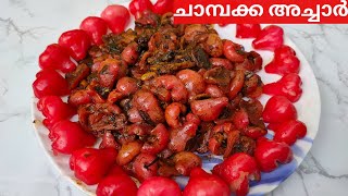 Chambakka Achar  Chambakka pickle recipe ചാമ്പക്ക അച്ചാർ  Rose Apple Pickle [upl. by Hervey]