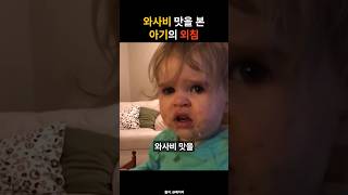 와사비 맛을 본 아기의 외침 funny baby [upl. by Dugaid]