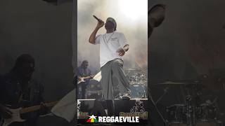 Busy Signal  Reggae Jam 2024 [upl. by Ahsiet]