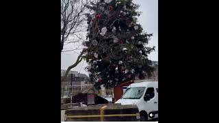 Decoration of Christmas tree in Strasbourg France 🇫🇷🎄🎅❤️❤️ [upl. by Mor]