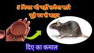 दिया का कमाल बिना दवाई इस घरेलू तरीके से चूहा घर से बाहर 😱 rid of mouse II chuhe bhagane ka tarika [upl. by Ahsoyek]