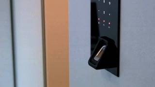 Automatic Sliding Door  Automatic Pocket Door Demo [upl. by Anilra]