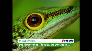 🐹 Odyssée  Nature Sauvage bandeannonce [upl. by Ocram]