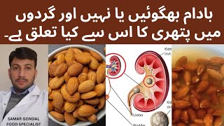 Soaked almonds vs raw almonds which will cause kidney stones  باداموں کو بھگو کر کھانا چاہیے ؟ [upl. by Urien869]