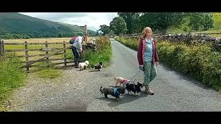 Upper Wharfedale Buckden Yorkshire Dales 8 Miles Circular Walk [upl. by Llovera]