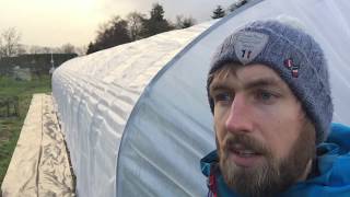 INVESTER I DEN RIGTIGE POLYTUNNEL [upl. by Pazia]