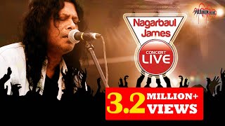 Nagarbaul James live  31st night 2014  Coxsbazar [upl. by Lanrev866]