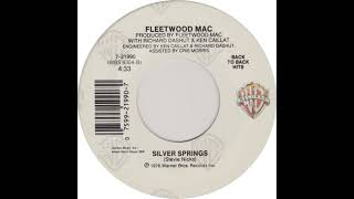 Silver Springs  Fleetwood Mac Cover [upl. by Eihtak]