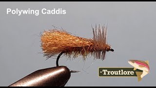 Poly Wing Caddis Dry Fly Pattern  Troutlore Fly Tyng [upl. by Ilecara]