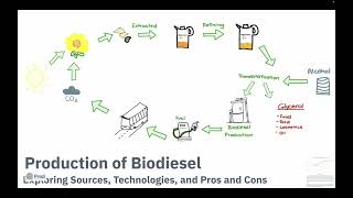 Production of Biodiesel [upl. by Eidnac]