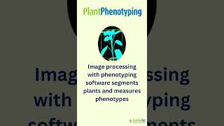 Introduction to Plant 🌱 Phenotyping [upl. by Koffler]