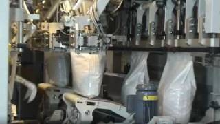 HighSpeed Automatic Bagging machine PTK2700 Series [upl. by Skrap]