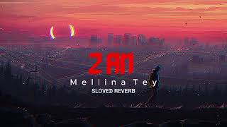 2AM  MELENA TEY SLOVED REVERB [upl. by Maud]