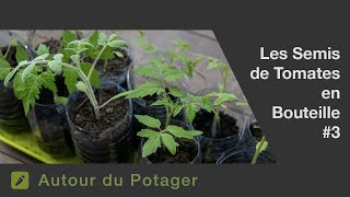 Le semis des tomates en bouteille 3 Tuto [upl. by Sarge]