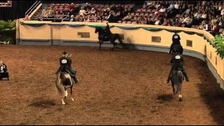 Morgan Grand National Open Park Saddle Championship Class [upl. by Ahseena509]