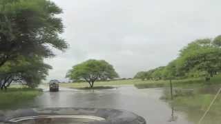 Flooded Central Kalahari Botswana [upl. by Rosenquist]