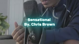 Chris Brown  Sensational  Song Cover By Heemeski [upl. by Esmaria]