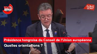 Présidence hongroise du Conseil de l’UE  l’ambassadeur hongrois présente les orientations [upl. by Yardley746]