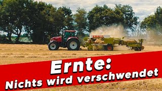 Ernte Nichts wird verschwendet  My KuhTube Film 657 [upl. by Maia]