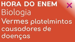 Vermes platelmintos causadores de doenças  Biologia  HORA DO ENEM [upl. by Labanna]