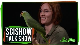 Telepathic Rats and a Redlored Amazon SciShow Talk Show 10 [upl. by Naivaf]