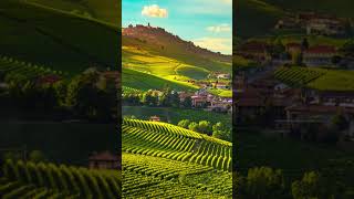 Top 5 Best Wine Regions in Italy shorts [upl. by Libb]