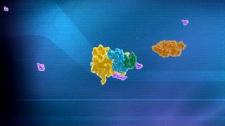 Ubiquitin Mediated Protein Degradation Explanation by Aaron Ciechanover [upl. by Adaha]