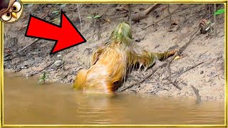 What They Discovered In A River Shocked Everyone [upl. by Landis]