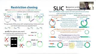 Choosing vector plasmids and subcloning [upl. by Oilut]